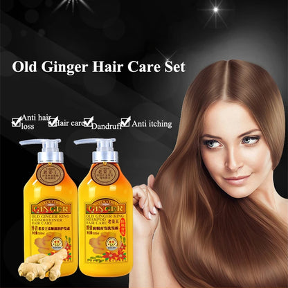 BOQIAN Professional Ginger Hair Shampoo 500ml Hair Conditioner Treatment 500ml Hair Care Set Moisturizing Clean Anti Hair Loss