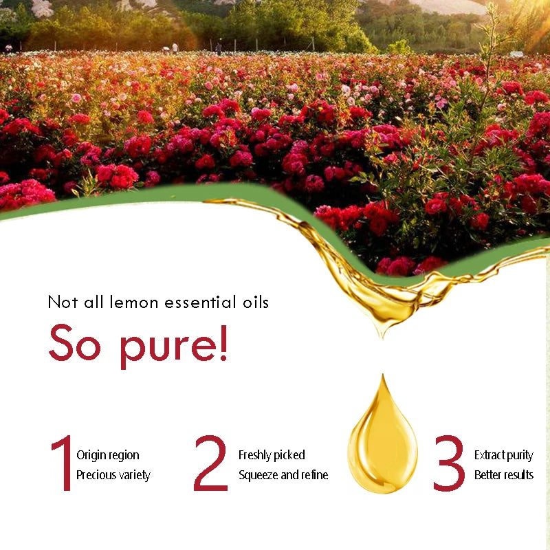 Rose Essential Oil 100% Pure Rose Aromatherapy Oils Floral Rose Fragrance Oil  Therapeutic Grade Organic Rose Oils for Diffuser