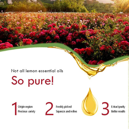 Rose Essential Oil 100% Pure Rose Aromatherapy Oils Floral Rose Fragrance Oil  Therapeutic Grade Organic Rose Oils for Diffuser