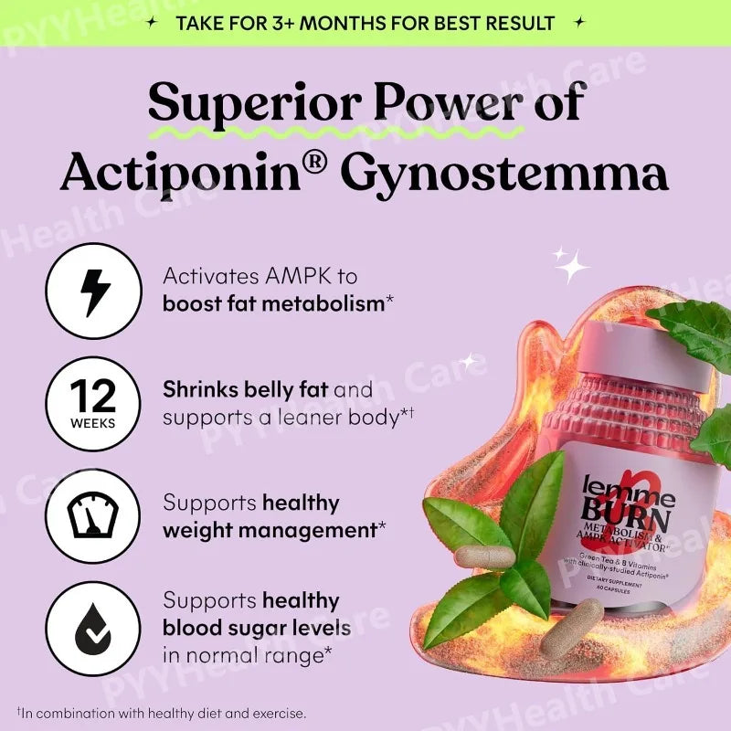 Belly Fat Burning Metabolism AMPK Activating Supplement for Men Women Actiponin Gynostemma Vitamins B6 B12 60 Capsules