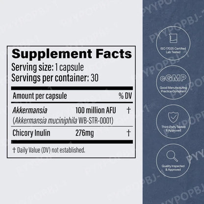 A Live Probiotic Supplement for Women and Men - Improves Digestive Health, Includes Fiber