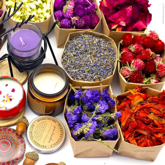10/20/30 Types Aromatherapy Flowers Kit for Home Fragrance, Natural Dry Flower for Reed Diffuser Blends, DIY Scented Decor