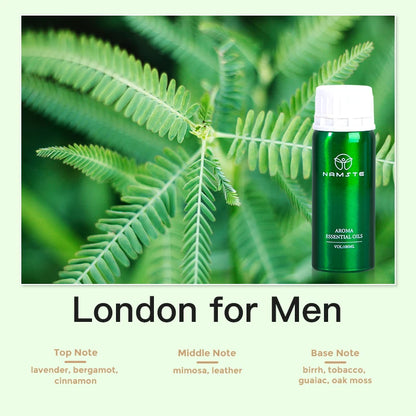 Aroma Diffuser Perfume Fragrance Oil Pure Scented Air Freshener for Scent Diffusers Namste 100ML Essential Oil Diffuser Natural