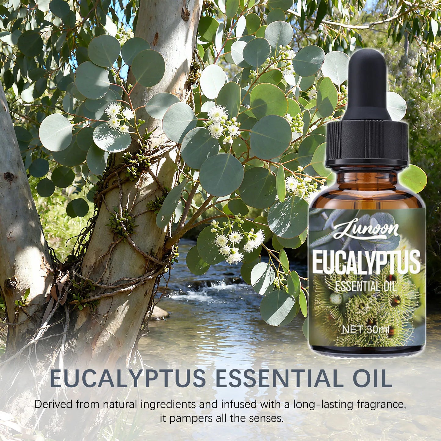 30ml Natural Eucalyptus Essential Oil for Aromatherapy Diffuser, Relieves Stress & Improves Sleep, for Home, Office, Yoga Room