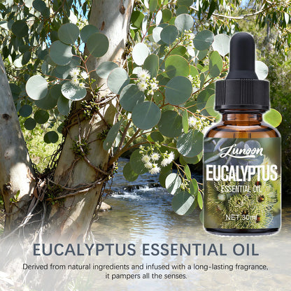 30ml Natural Eucalyptus Essential Oil for Aromatherapy Diffuser, Relieves Stress & Improves Sleep, for Home, Office, Yoga Room