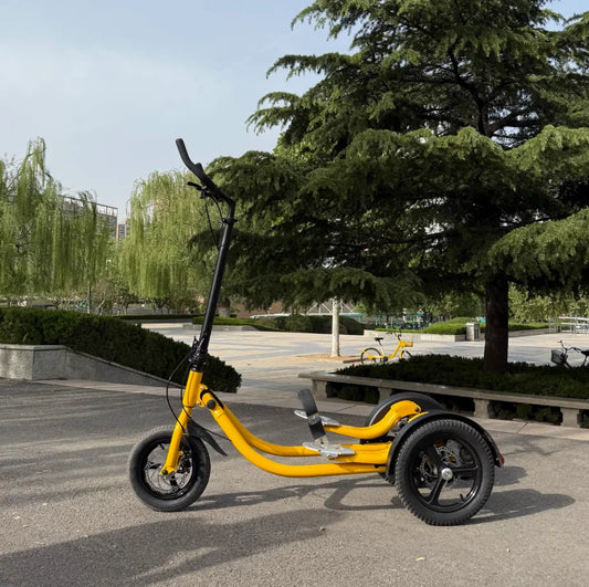SRJOINFIT Step Bike Fitness Bike Upright Bike Fitness Cycling Tricycle Fitness Step Bike