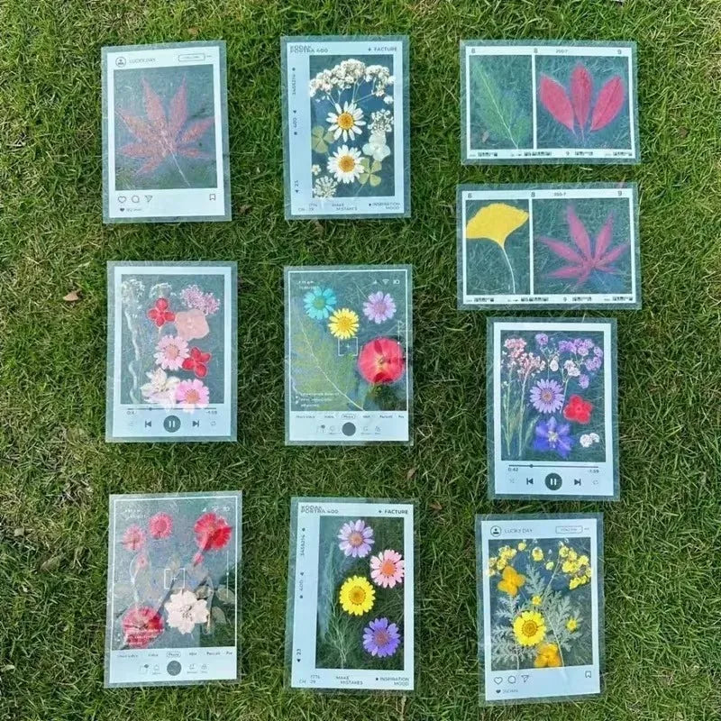 20PCS Clear Plastic Bookmark for Pressed Flowers Leaves DIY Craft Kit Gift for Reader Nature Lovers Journaling School Office Art