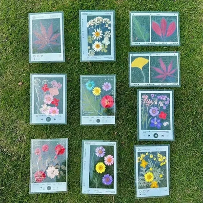 20PCS Clear Plastic Bookmark for Pressed Flowers Leaves DIY Craft Kit Gift for Reader Nature Lovers Journaling School Office Art
