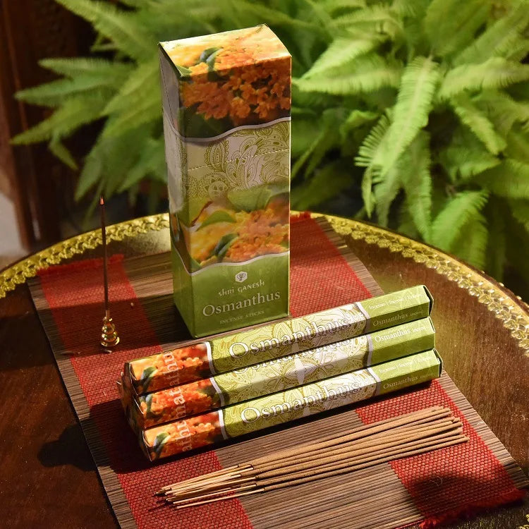 20 Sticks India Coconut Incense Stick Sandalwood Household Bedroom Toilet Toilet Agarwood Tibetan Line Aromatherapy for Home