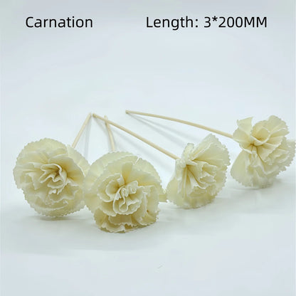 Natural Tongcao Diffuser Flowers 20cm 4 Pieces Rattan Diffuser Sticks for Aromatherapy Bottles Replacement Diffuser Sticks Aromatherapy Decorative Flowers for Essential Oil Bottles Home Decoration