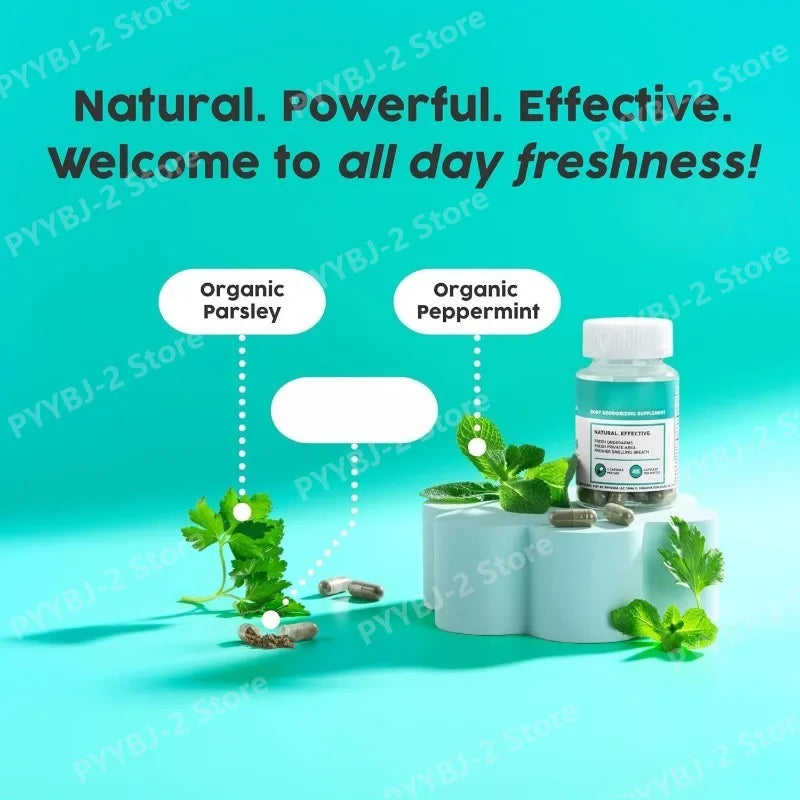 Chlorophyll Capsules - Natural Plant-based Daily Supplements Containing Herbal Ingredients - Plant-based Capsules