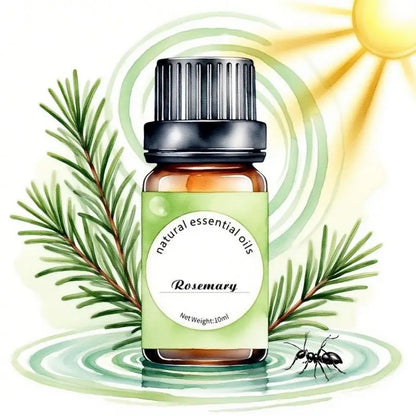 Quality Essential Oils By Pure Aroma 10ml (eucalyptus, Lavender, Frankincense,sage,sandalwood) For Diy Soap Diffuser Humidifier