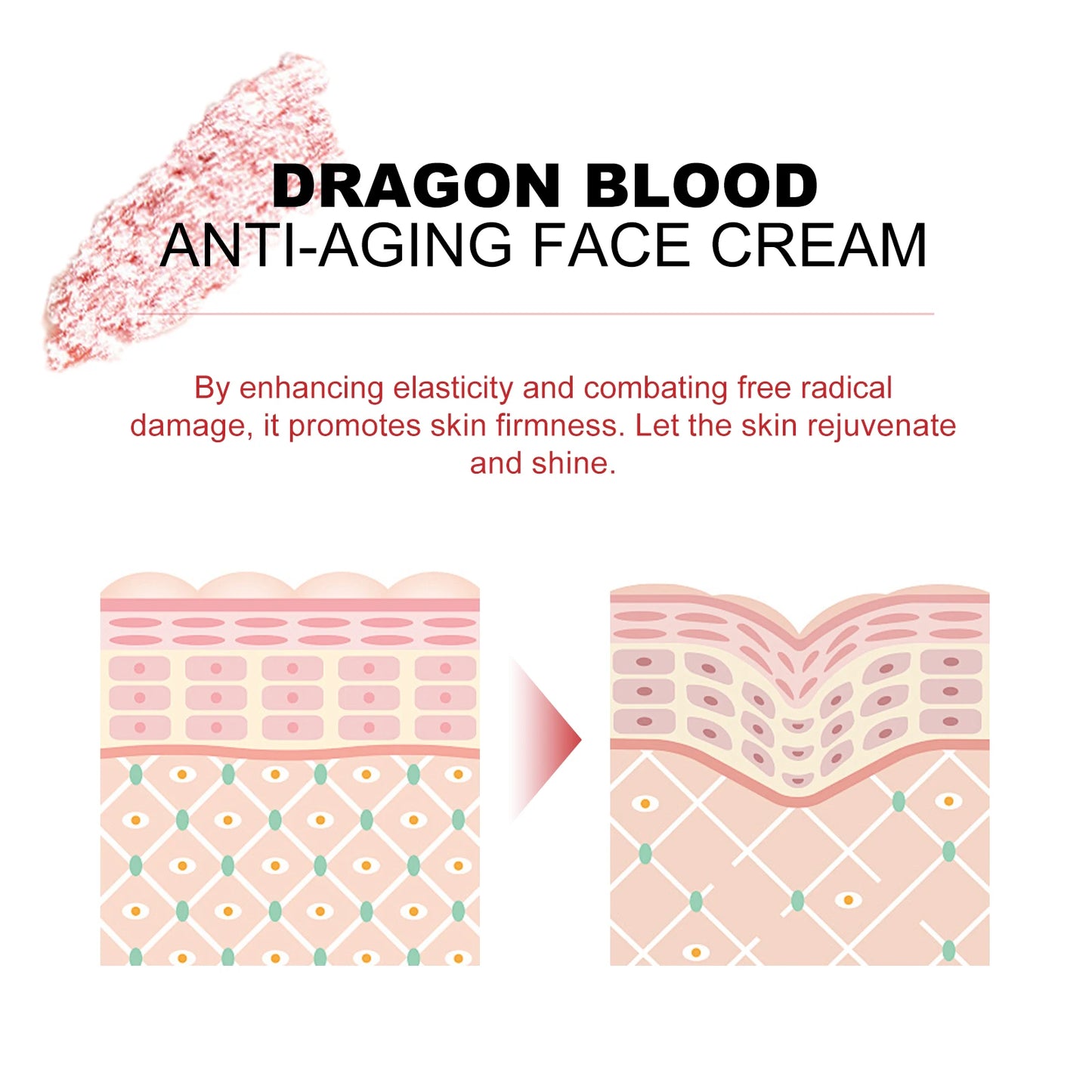 Dragon's Blood Hyaluronic Acid Cream Anti-Aging Face Moisturizer Pore Refining & Skin Repair Brightening Cream for Skin Care