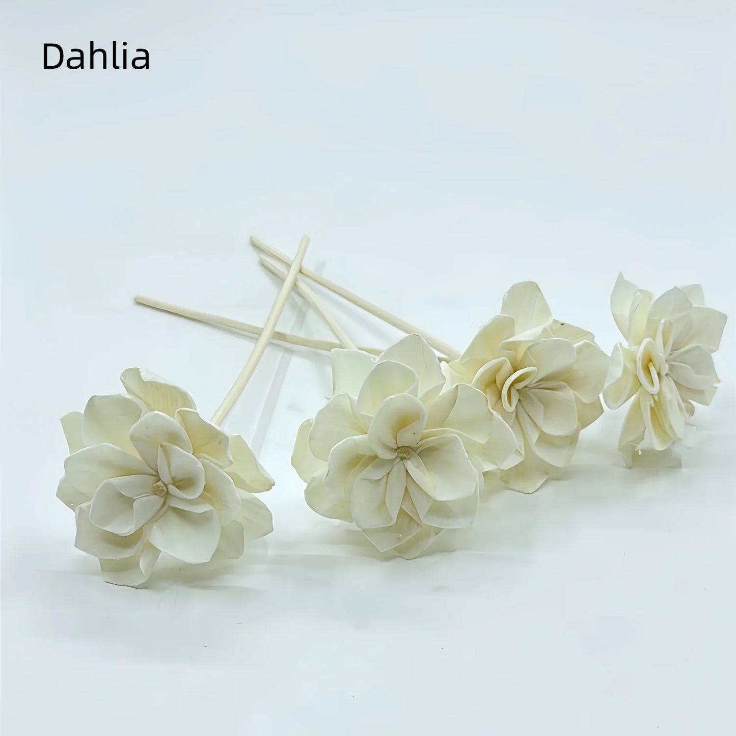 Natural Tongcao Diffuser Flowers 20cm 4 Pieces Rattan Diffuser Sticks for Aromatherapy Bottles Replacement Diffuser Sticks Aromatherapy Decorative Flowers for Essential Oil Bottles Home Decoration