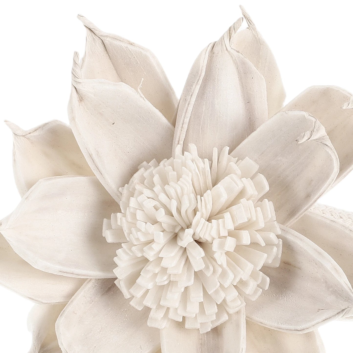 2Pcs Floral Aroma Diffuser Sticks Gardenia Scent Dried Sola Flowers Natural Home Decor Aromatherapy Essential Oil Diffuser