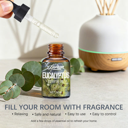 30ml Natural Eucalyptus Essential Oil for Aromatherapy Diffuser, Relieves Stress & Improves Sleep, for Home, Office, Yoga Room