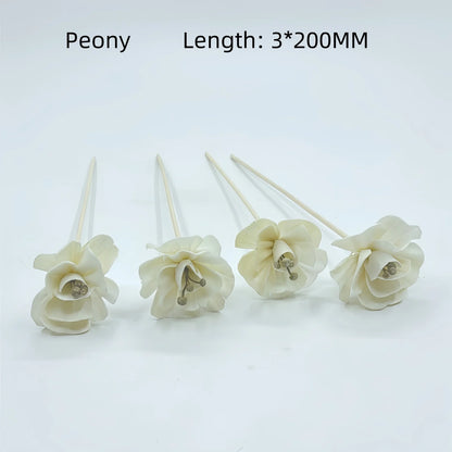 Natural Tongcao Diffuser Flowers 20cm 4 Pieces Rattan Diffuser Sticks for Aromatherapy Bottles Replacement Diffuser Sticks Aromatherapy Decorative Flowers for Essential Oil Bottles Home Decoration
