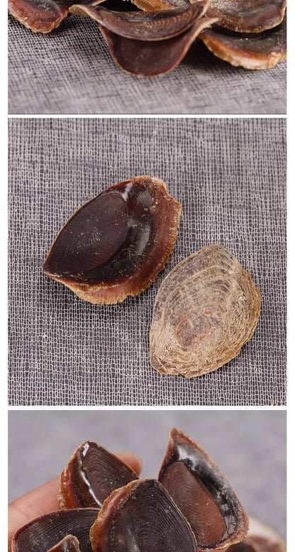 The shelling armor incense imported ancient traditional incense and incense special natural incense material Japan shell armor i