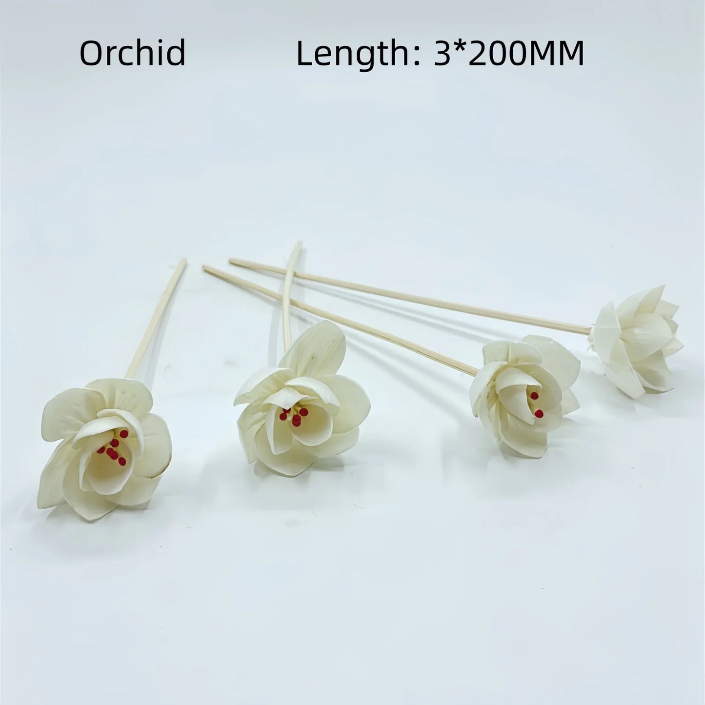 Natural Tongcao Diffuser Flowers 20cm 4 Pieces Rattan Diffuser Sticks for Aromatherapy Bottles Replacement Diffuser Sticks Aromatherapy Decorative Flowers for Essential Oil Bottles Home Decoration