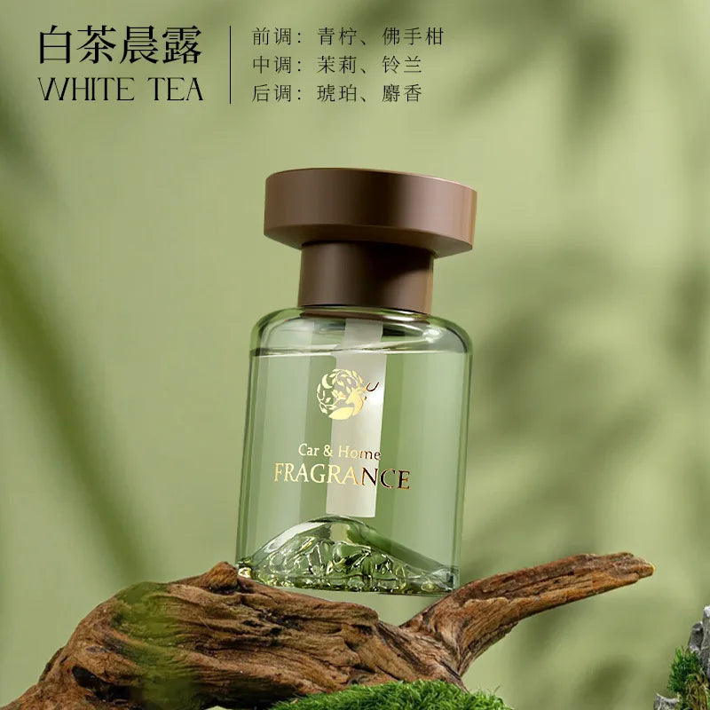 Long-Lasting Fragrance Glass Bottle Aroma Diffuser for Car Home Bathroom Air Purifier Odor Eliminator And Deodorizer