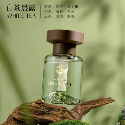 Long-Lasting Fragrance Glass Bottle Aroma Diffuser for Car Home Bathroom Air Purifier Odor Eliminator And Deodorizer