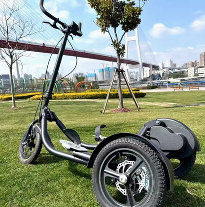 SRJOINFIT Step Bike Fitness Bike Upright Bike Fitness Cycling Tricycle Fitness Step Bike