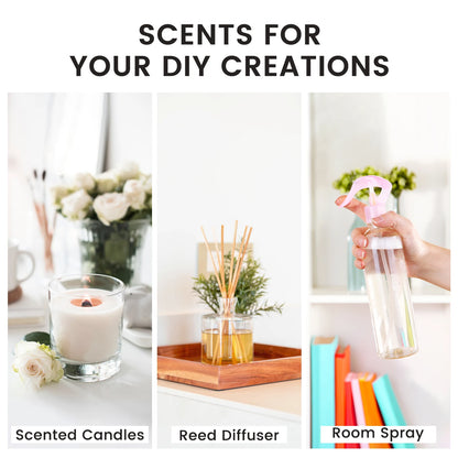 MAYJAM Fragrance Oil for Humidifier Diffuser Candle Making Vanilla Musk Dragons Blood Bubble Gum Sea Breeze Baby Powder Aroma