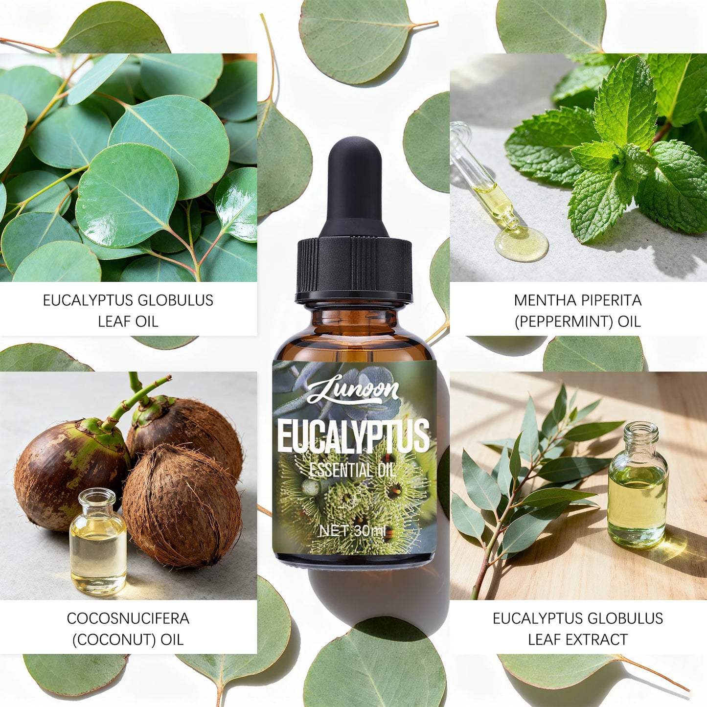 30ml Natural Eucalyptus Essential Oil for Aromatherapy Diffuser, Relieves Stress & Improves Sleep, for Home, Office, Yoga Room