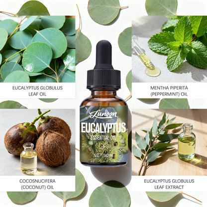30ml Natural Eucalyptus Essential Oil for Aromatherapy Diffuser, Relieves Stress & Improves Sleep, for Home, Office, Yoga Room