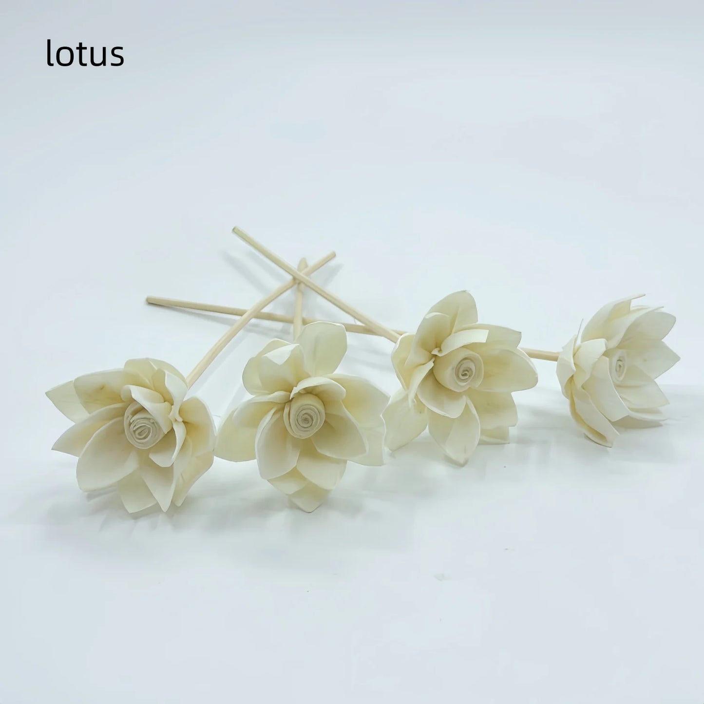 Natural Tongcao Diffuser Flowers 20cm 4 Pieces Rattan Diffuser Sticks for Aromatherapy Bottles Replacement Diffuser Sticks Aromatherapy Decorative Flowers for Essential Oil Bottles Home Decoration