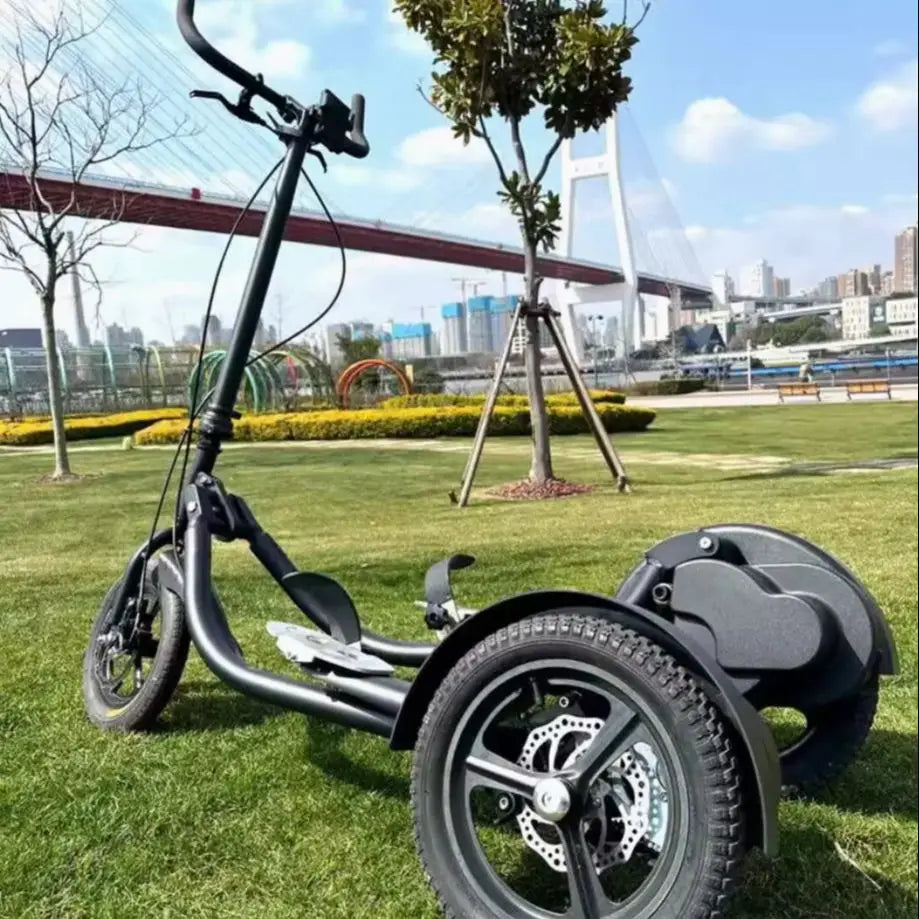 SRJOINFIT Step Bike Fitness Bike Upright Bike Fitness Cycling Tricycle Fitness Step Bike