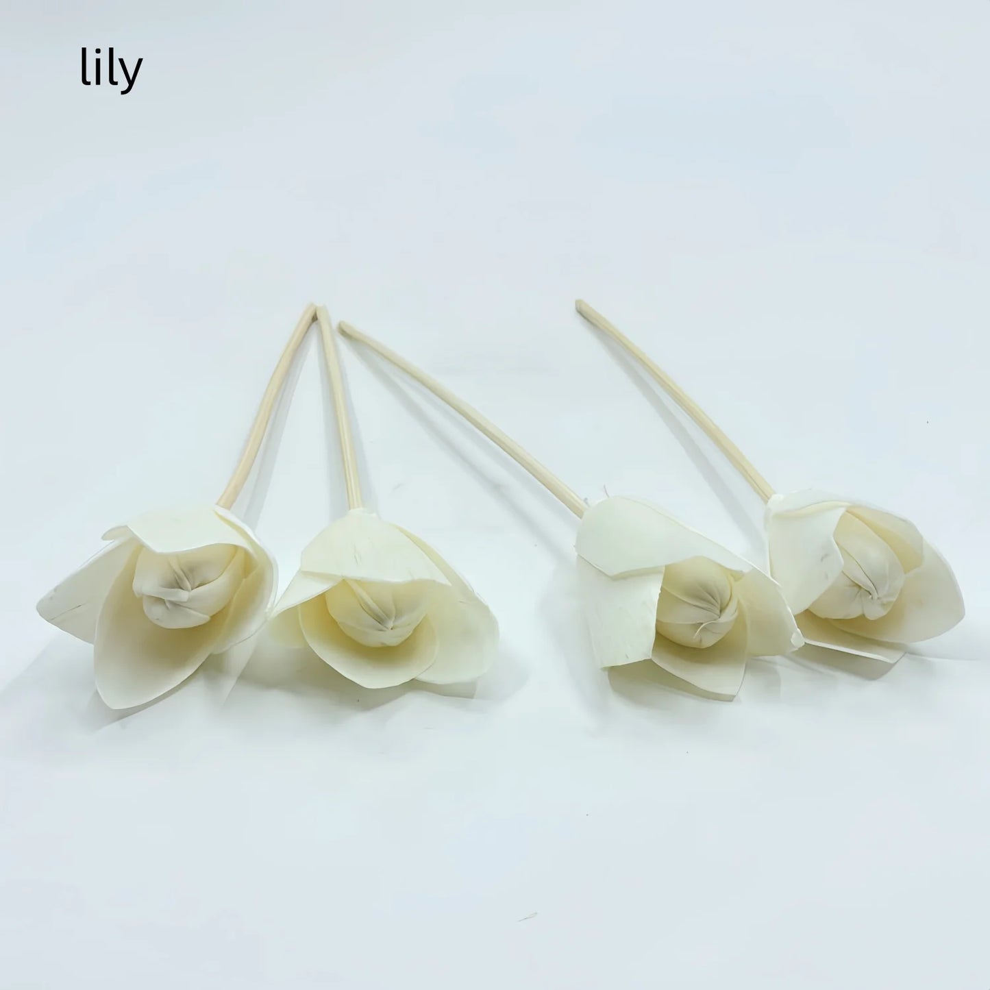 Natural Tongcao Diffuser Flowers 20cm 4 Pieces Rattan Diffuser Sticks for Aromatherapy Bottles Replacement Diffuser Sticks Aromatherapy Decorative Flowers for Essential Oil Bottles Home Decoration
